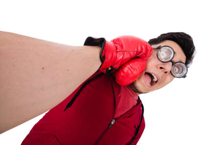 Funny boxer isolated on whiteの写真素材