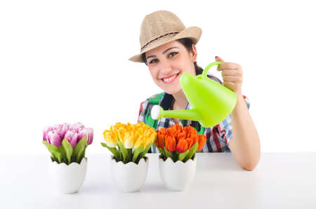 Girl watering plants on whiteの写真素材