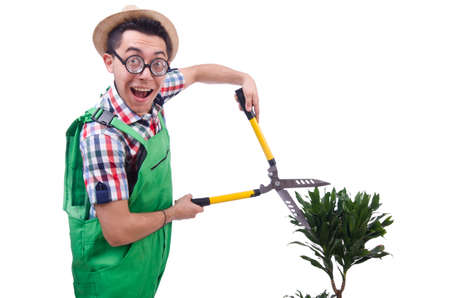 Funny man trimming plans in his gardenの写真素材