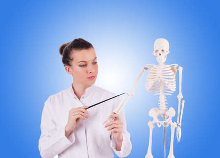 Doctor with skeleton against gradientの写真素材