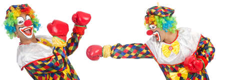 Clowns with boxing gloves isolated on whiteの写真素材