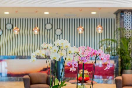 Hotel lobby with modern designの写真素材