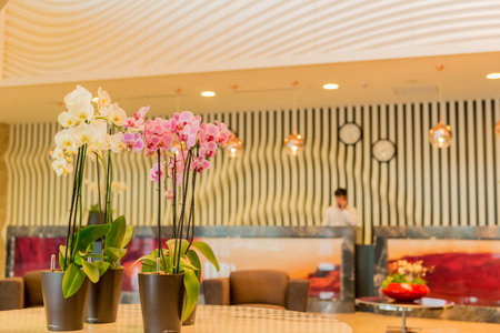 Hotel lobby with modern designの写真素材