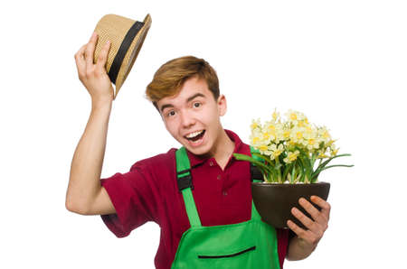 Young gardener with flower isolated on whiteの写真素材