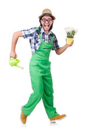 Young funny gardener with tulips and watering can isolated oin whiteの写真素材