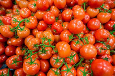 Tomatoes on the supermarket displayの写真素材