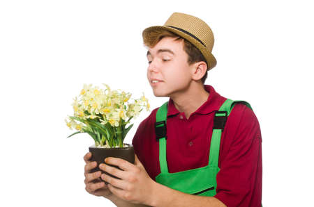 Young gardener with flower isolated on whiteの写真素材