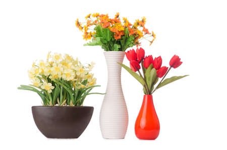 Daisy camomile flowers isolated on whiteの写真素材