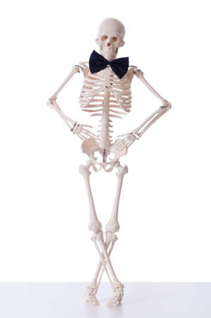 Funny skeleton isolated on whiteの写真素材