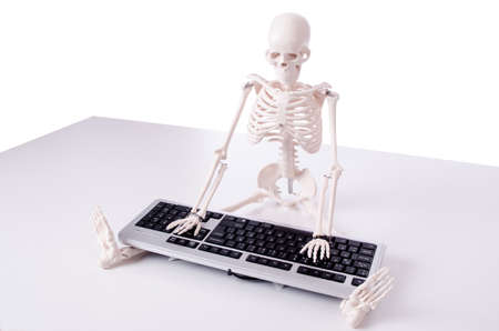 Funny Skeleton working on computer