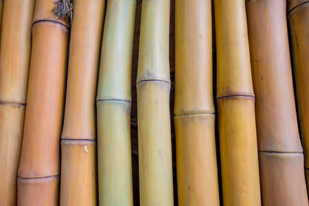 Background made of bamboo branchesの写真素材