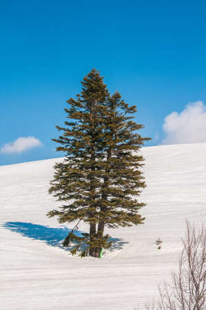 Winter mountains on bright winter day