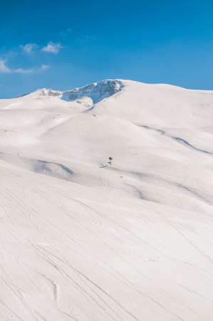 Winter mountains on bright winter dayの写真素材