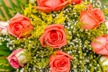 Nice roses in celebration conceptの写真素材