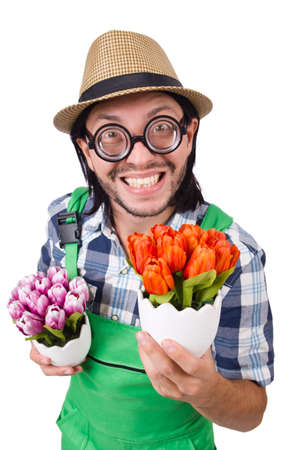 Man gardener with flowers on whiteの写真素材