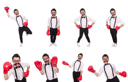 Funny boxer isolated on the white backgroundの写真素材