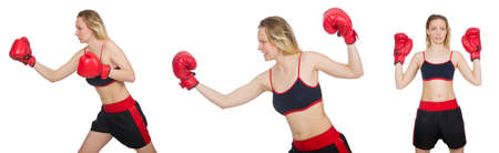 Woman boxer on white backgroundの写真素材