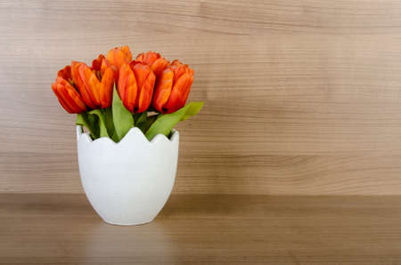 Tulip flowers against wooden backgroundの写真素材