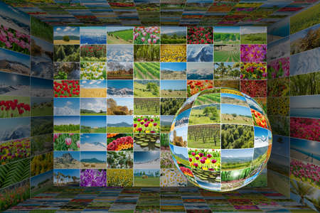 Collection of nature photos in collage concept