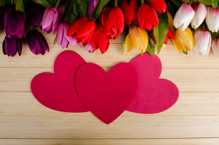 Tulips flowers arranged with copyspace for your textの写真素材