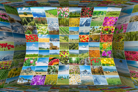 Collage of many nature photosの写真素材