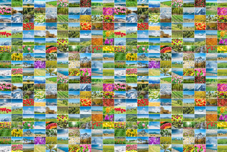 Collage of many nature photosの写真素材