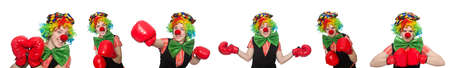 Clown in various poses isolated on whiteの写真素材