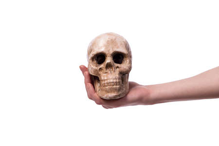 Hand holding skull isolated on whiteの写真素材
