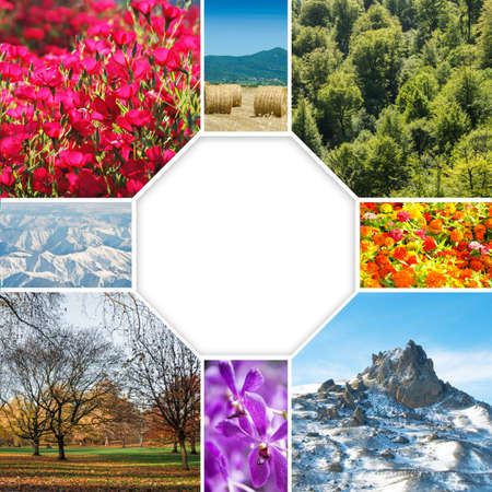 Collage of many nature photosの写真素材