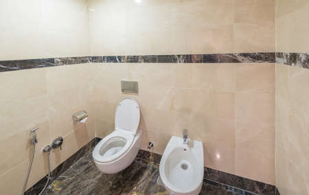 Toilet of modern interior design