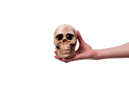 Hand holding skull isolated on whiteの写真素材