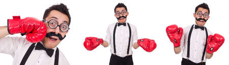 Funny boxer isolated on the white backgroundの写真素材