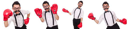 Funny boxer isolated on the white background