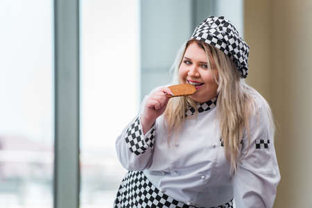 Woman cook working in the bright kitchenの写真素材