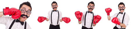 Funny boxer isolated on the white background