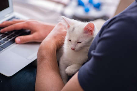 Man working on laptop and playing catの写真素材