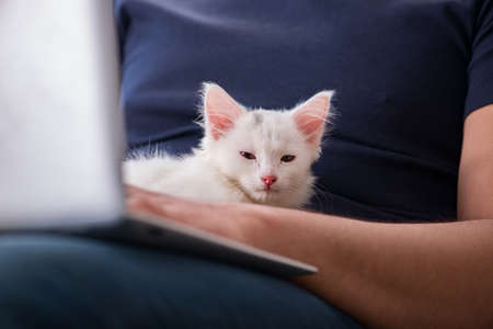 Man working on laptop and playing catの写真素材