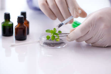 Biotechnology concept with scientist in labの写真素材