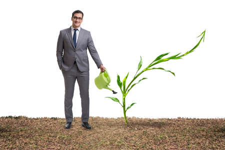 Businessman in new business conceptの写真素材