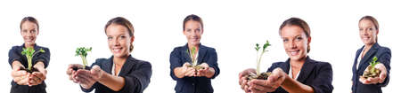 Businesswoman with seedling on whiteの写真素材