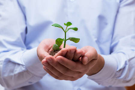 Man holding green seedling isolated on white