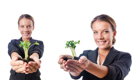 Businesswoman with seedling on whiteの写真素材