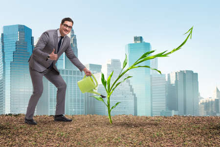 Businessman in new business conceptの写真素材