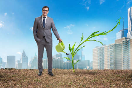 Businessman in new business conceptの写真素材