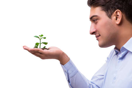Man holding green seedling isolated on whiteの写真素材