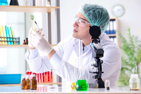 Biotechnology concept with scientist in labの写真素材
