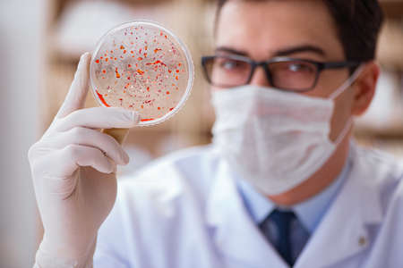 Doctor studying virus bacteria in the lab