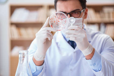 Doctor studying virus bacteria in the lab