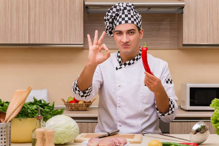 Young chef working in the kitchen