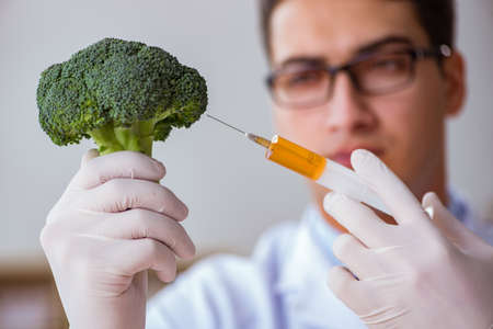 Scientist working on organic fruits and vegetablesの写真素材